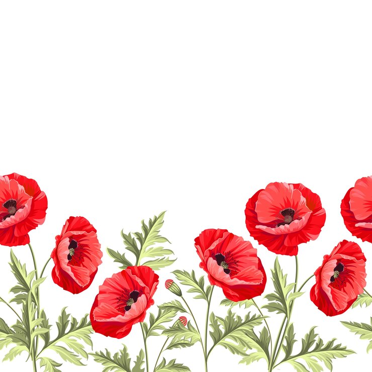 Je t'aime carte Bouquet de fleurs de pavot sur fond blanc Carte de pavot pour étiquette en papier et autres projets d'impression ou web Étiquette avec fleurs de pavot Illustration vectorielle