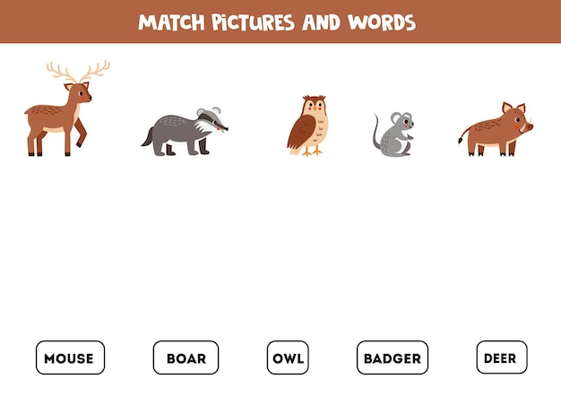 Jeu D'association Associez D'adorables Animaux Des Bois Et Des Mots