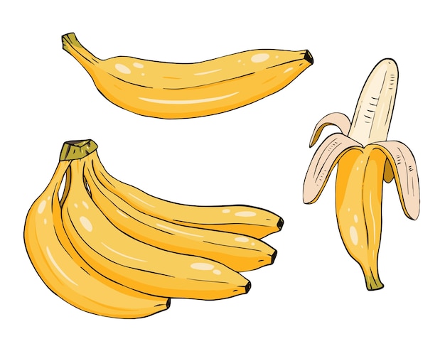 Jeu de bananes jaunes. Dessin animé de banane unique et pelée. Lignes de Doodle