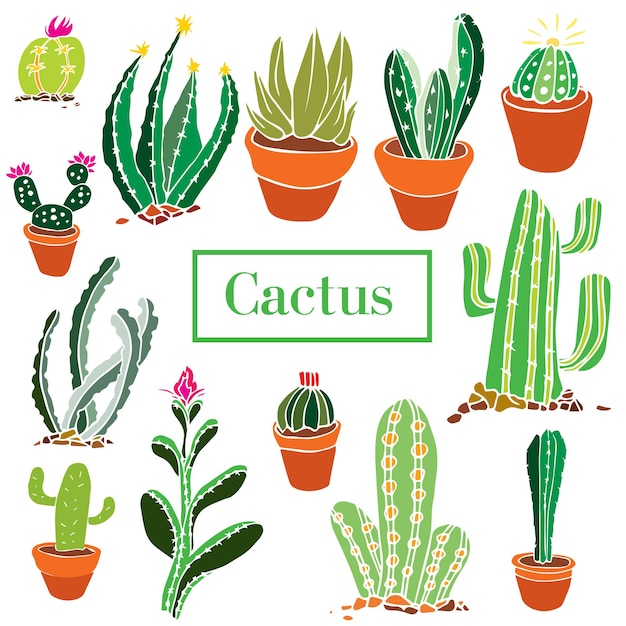 Jeu De Couleurs De Vecteur De Cactus