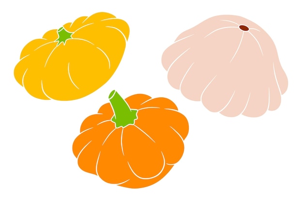 Jeu de courge Courge fraîche jaune orange et beige Dans un style cartoon Illustration vectorielle pour le design et la décoration