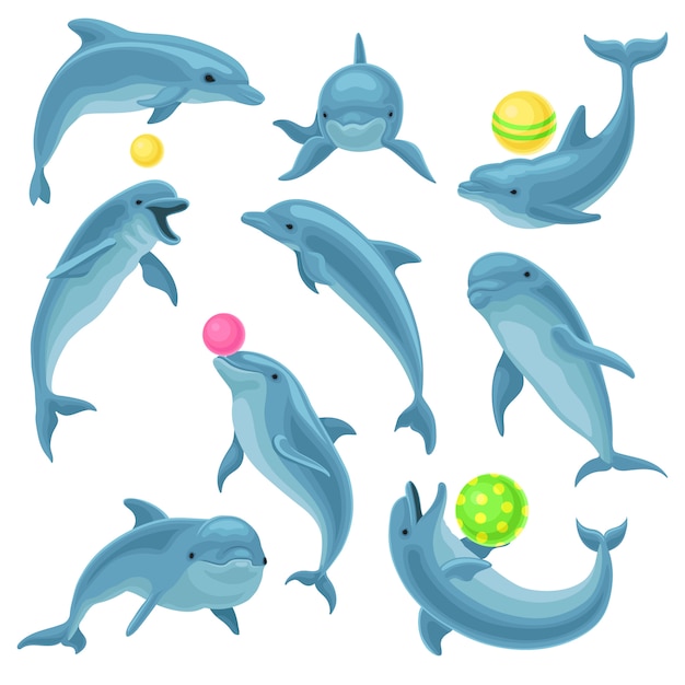 Jeu de dauphins bleus mignons, saut de dauphin et astuces avec ballon pour spectacle de divertissement Illustration sur fond blanc