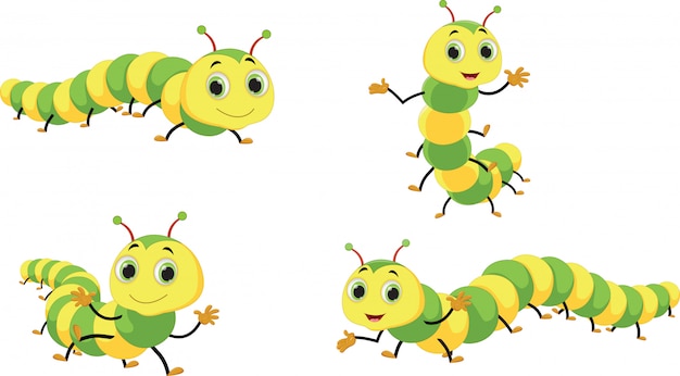 Jeu De Dessin Animé Mignon Caterpillar