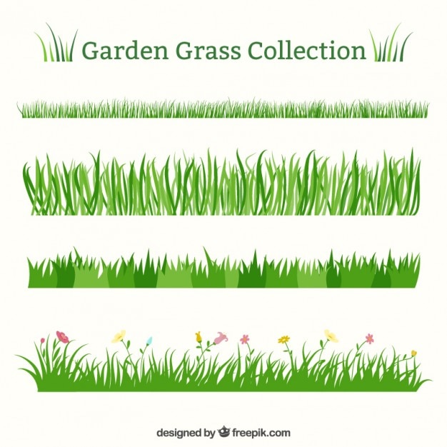 Jeu de différentes herbe jardin