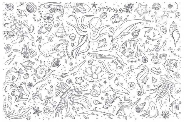 Jeu De Doodle De La Vie Marine