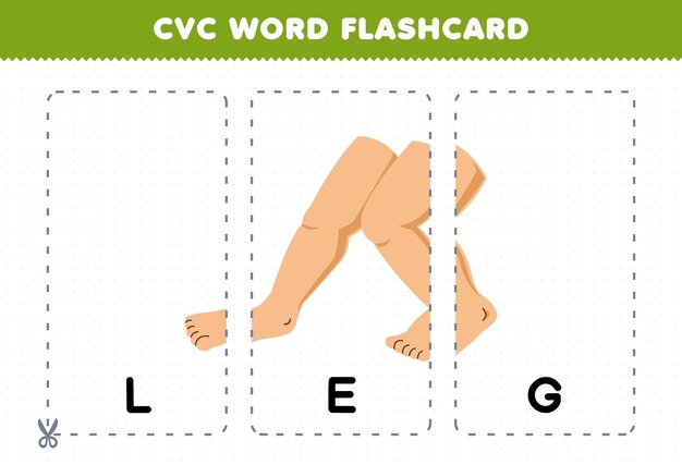 Vecteur jeu éducatif pour les enfants apprenant le mot de consonne de voyelle de consonne avec une carte flash imprimable d'illustration de leg de dessin animé mignon