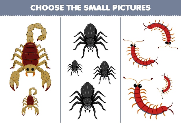 Jeu éducatif Pour Les Enfants, Choisissez La Petite Image De La Feuille De Calcul De Bogue Imprimable De Dessin Animé Mignon Scorpion Araignée Mille-pattes