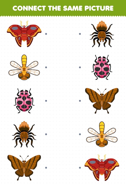 Jeu éducatif Pour Les Enfants Connecter La Même Image De Dessin Animé Mignon Papillon Libellule Coccinelle Araignée Papillon Feuille De Calcul De Bogue Imprimable