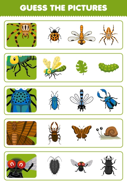 Jeu éducatif Pour Les Enfants Devinez Les Bonnes Images De Dessin Animé Mignon Araignée Libellule Coléoptère Papillon Mouche Feuille De Calcul De Bogue Imprimable