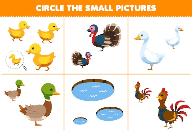 Jeu éducatif Pour Les Enfants Encerclez La Petite Image De Dessin Animé Mignon Canard Dinde Oie Caneton étang Poulet Feuille De Travail De Ferme Imprimable