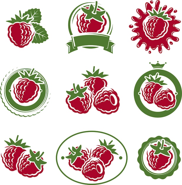 Jeu De Framboises Vectoriel