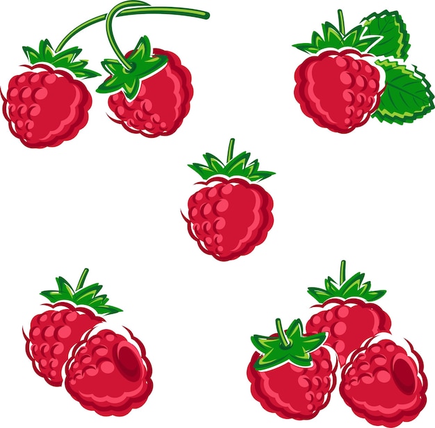 Vecteur jeu de framboises vectoriel