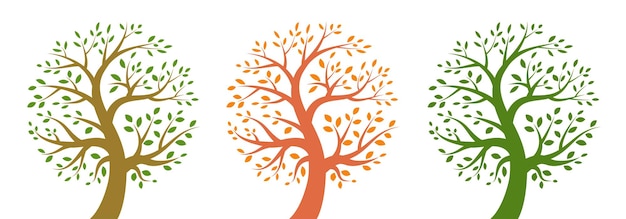 Vecteur jeu d'icônes d'arbre logo de la vie insigne de plante emblème de l'environnement symbole de la nature icône organique vecteur