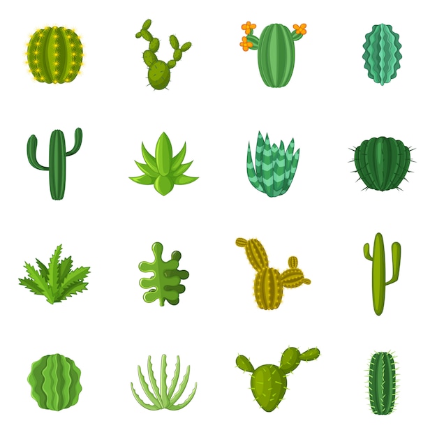 Jeu D'icônes De Cactus Vert