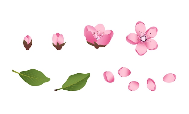 Vecteur jeu d'icônes de fleurs sakura mignon