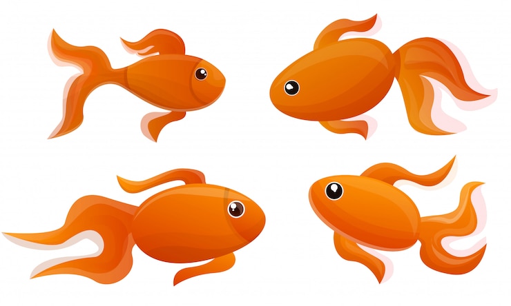 Vecteur jeu d&#39;icônes de poisson rouge. ensemble de dessin animé d&#39;icônes vectorielles poisson rouge pour la conception web