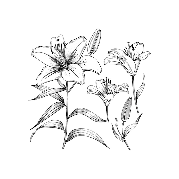 jeu d'illustration d'art vectoriel de dessin de fleurs de couleur noire