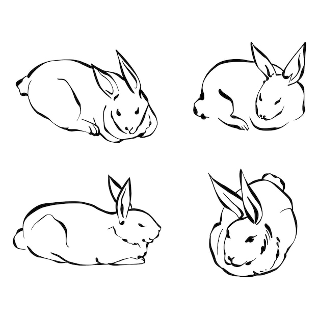 Jeu De Lapin Mignon Doodle Illustration Vectorielle Dessinés à La Main