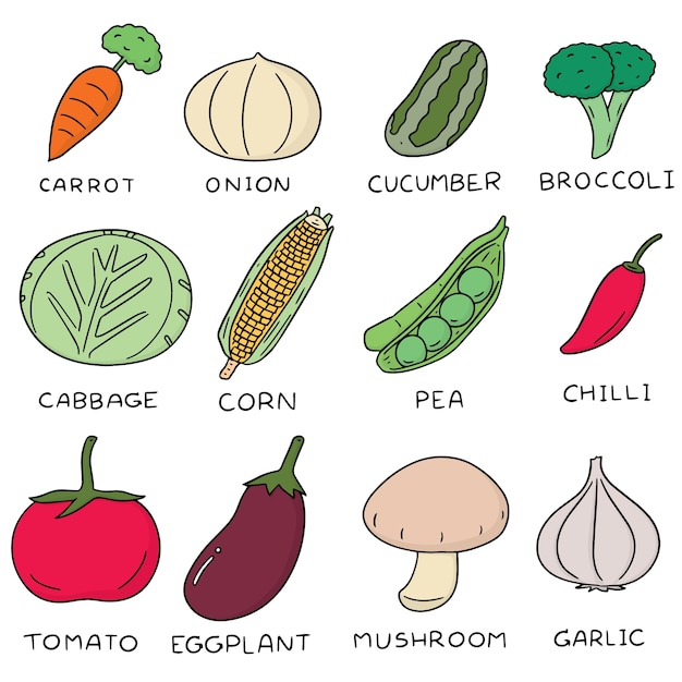 Vecteur jeu de légumes vectorielles