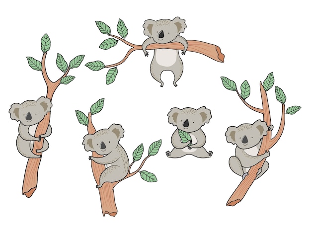 Jeu D'ours Koala De Dessin Animé.