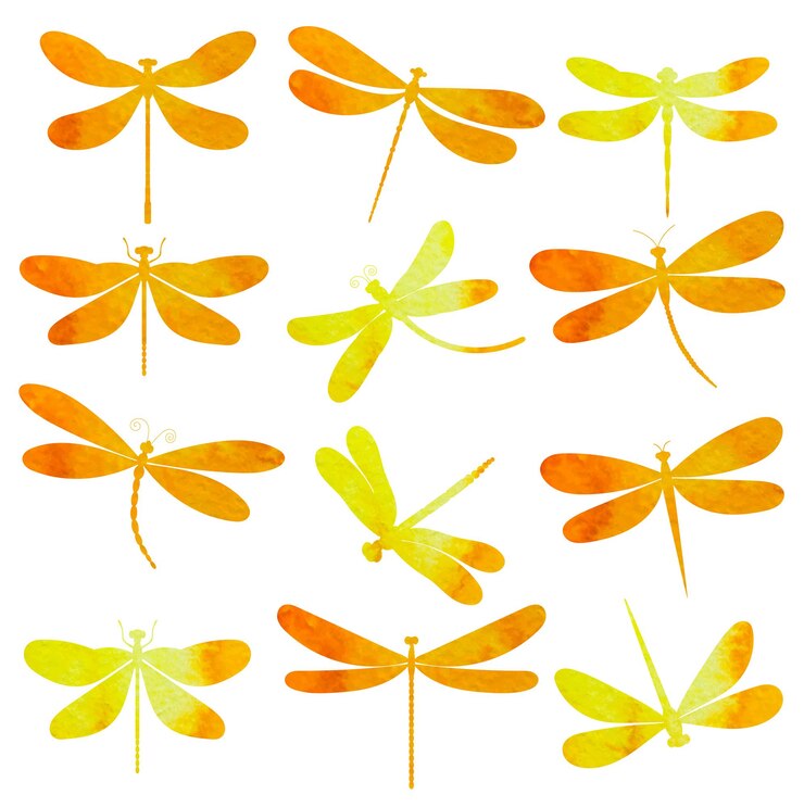 Vecteur jeu de silhouette aquarelle libellule vecteur isolé