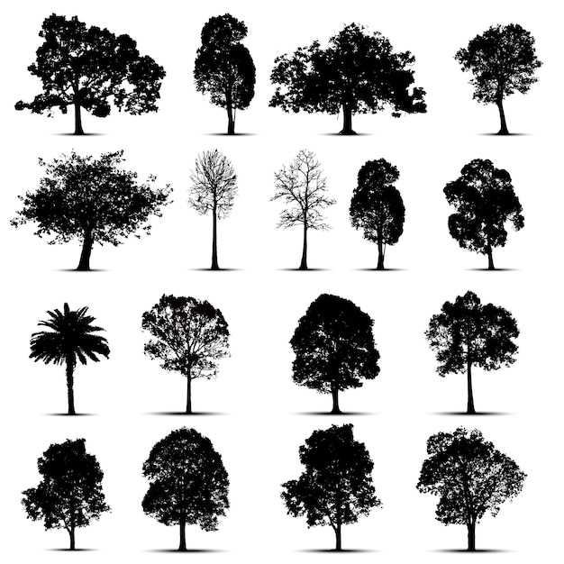 Jeu De Silhouettes D'arbres