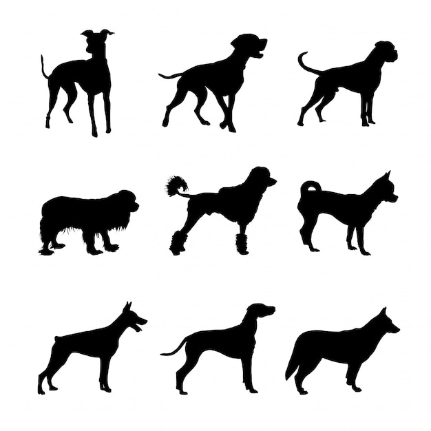 Vecteur jeu de silhouettes de chiens