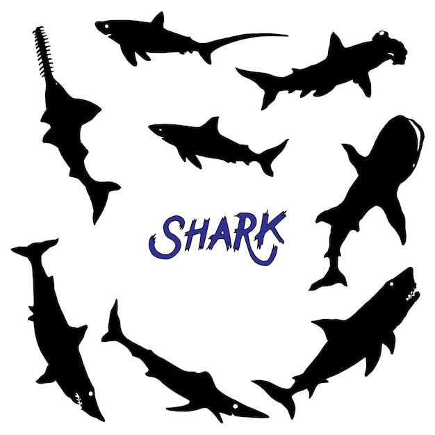 Jeu De Silhouettes De Requin