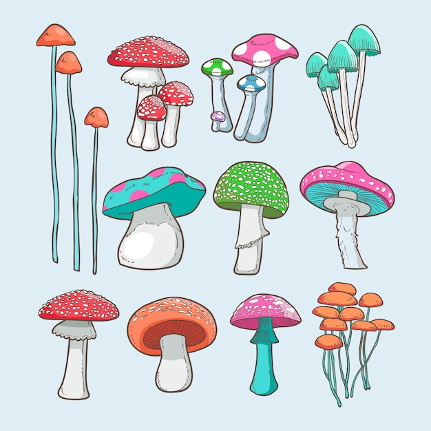 jeu de vecteurs de champignons