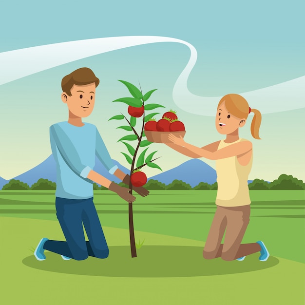 Jeune Couple Avec La Récolte De Tomate