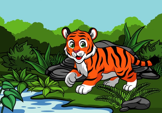 Jeune tigre dans la jungle