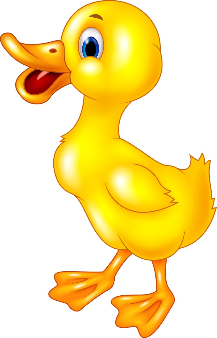 Vecteur joli bébé canard sur fond blanc