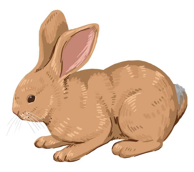 Vecteur joli bébé lapin joli lapin animal sauvage en style cartoon illustration vectorielle contemporaine clipart moderne isolé sur fond blanc