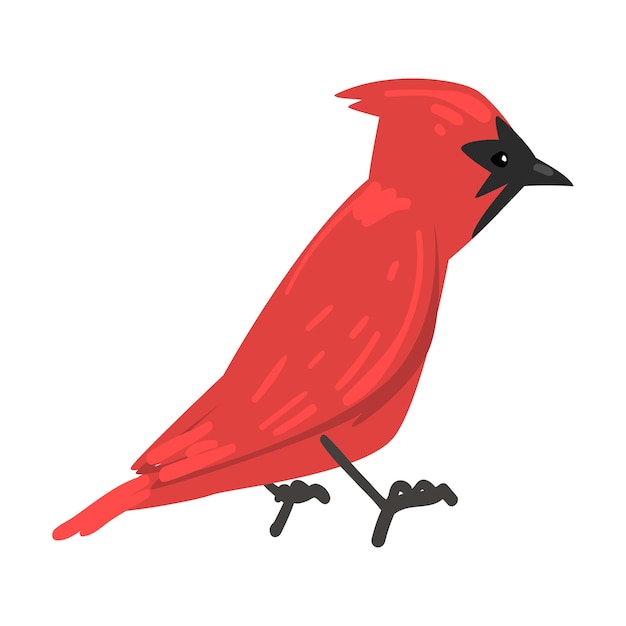 Vecteur joli cardinal rouge oiseau d'hiver belle illustration vectorielle d'oiseau du nord