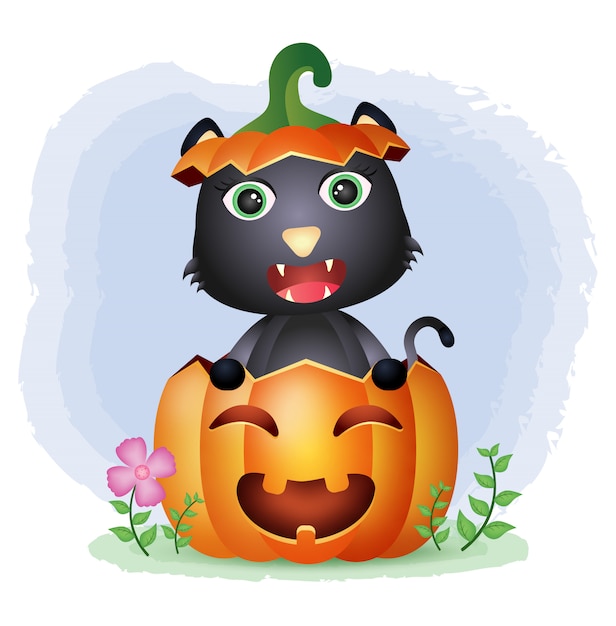 Un Joli Chat Noir Dans La Citrouille D'halloween