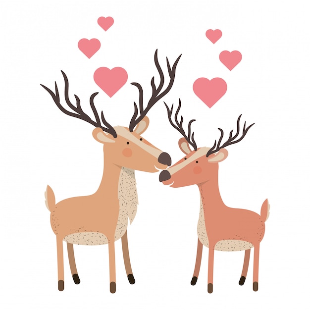 Joli Couple Cerfs Avec Coeurs