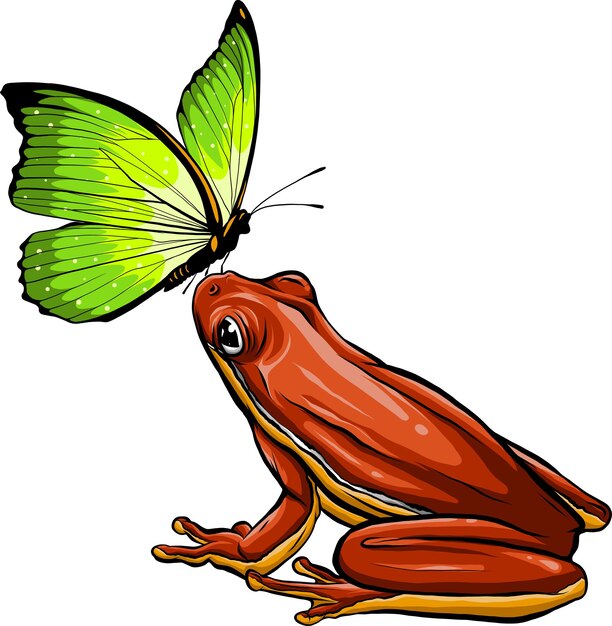 Joli Papillon Drôle Sur Une Grenouille