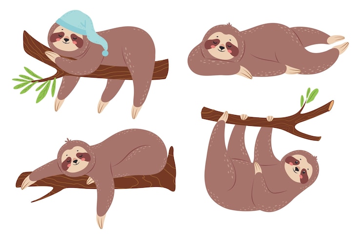 Vecteur joli tissu paresseux personnages de dessins animés somnolents suspendus à une branche animaux drôles dans différentes poses joli mammifère de la forêt tropicale grimpant à l'arbre relaxant sur une plante en chapeau de sommeil isolé ensemble vectoriel