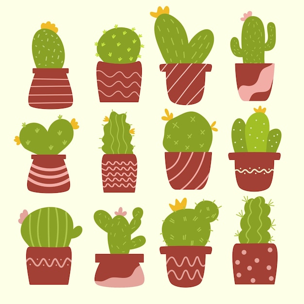 Jolie Collection De Cactus En Pot