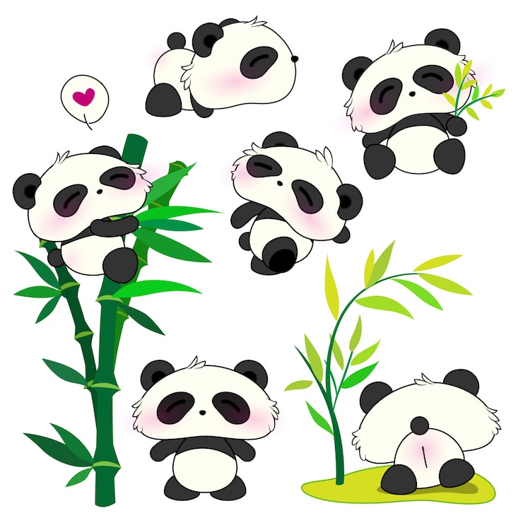 Vecteur jolie collection de panda