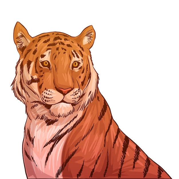 Une jolie illustration du lion
