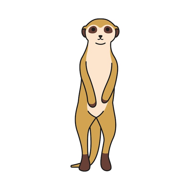 Vecteur une jolie illustration de suricate