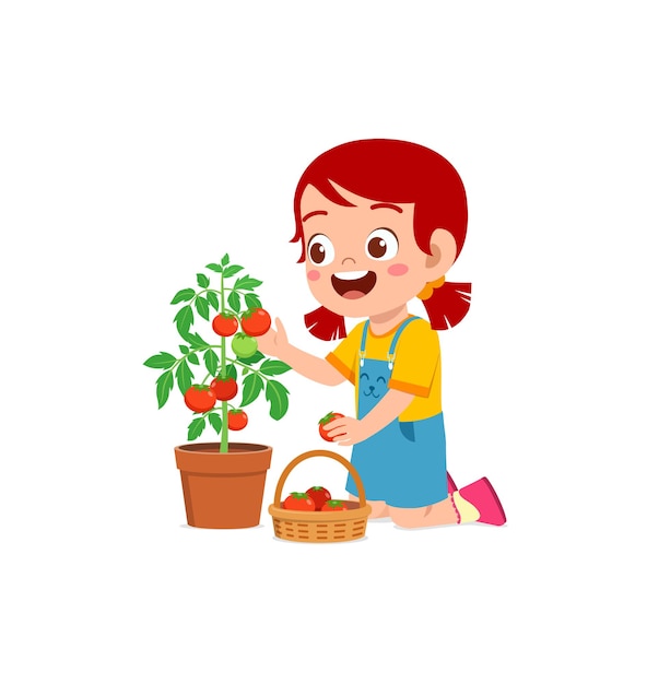 Vecteur jolie petite fille récolte des tomates dans le jardin