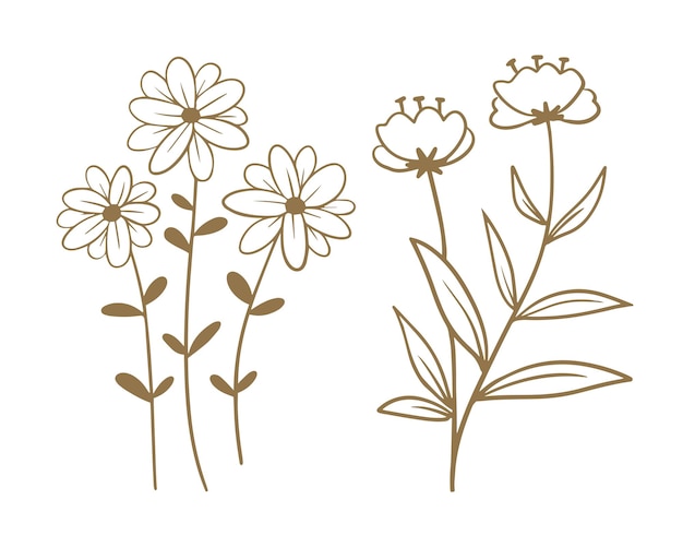 jolies fleurs avec des branches et des feuilles conception d'illustration vectorielle icône isolée