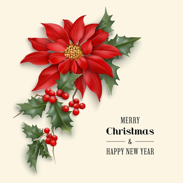 Vecteur joyeux noël et bonne année carte de voeux avec fleur d'étoile de noël photoréaliste. fleurs de poinsettia et branches de houx sur fond clair