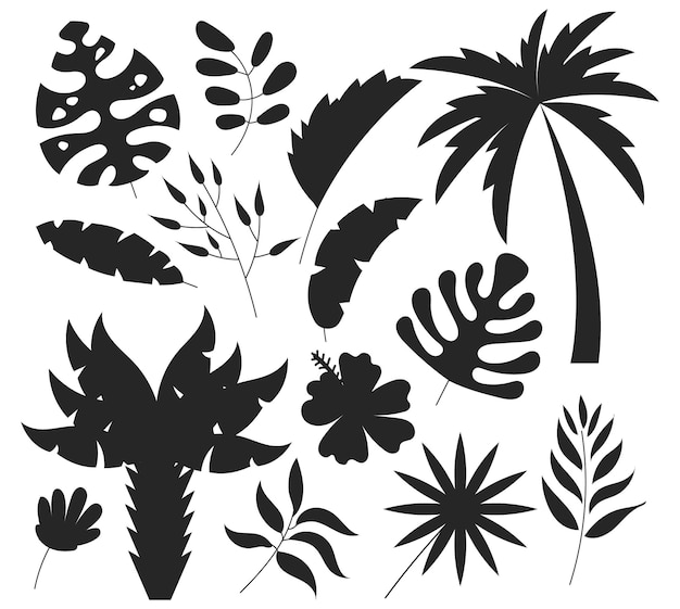 Jungle Exotique Flore Arbre Palmier Feuilles Tropique Plante Ensemble Isolé Vector Silhouettes