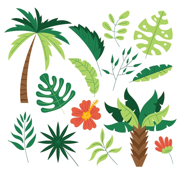 Jungle exotique flore arbre palmier leafes tropique plante ensemble isolé