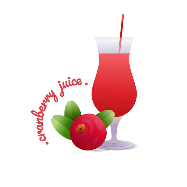 Jus de canneberge Illustration vectorielle de style moderne