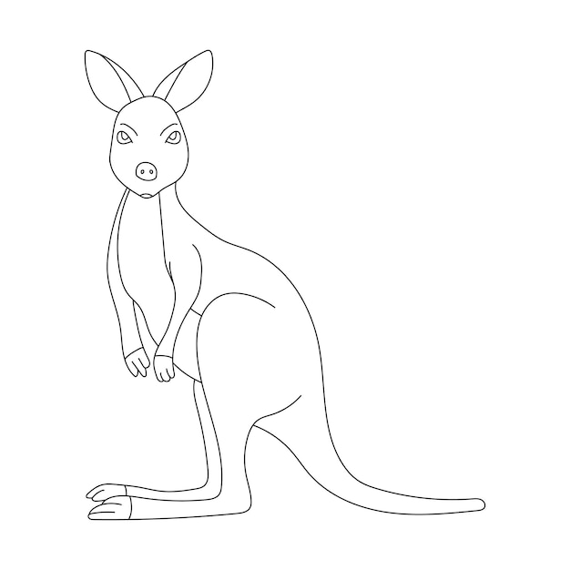 Vecteur kangaroo clipart dessin animé animaux sauvages set de cliparts pour les amoureux de la faune