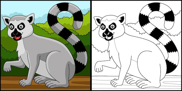 Katta Animal Coloriage Illustration Colorée